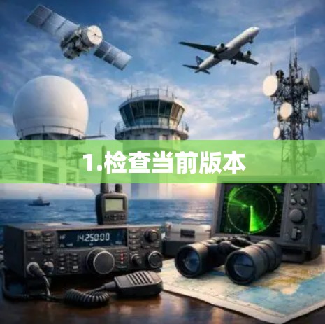 1.检查当前版本