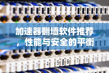 加速器翻墙软件推荐，性能与安全的平衡