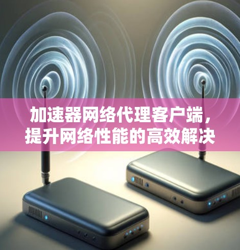 加速器网络代理客户端，提升网络性能的高效解决方案