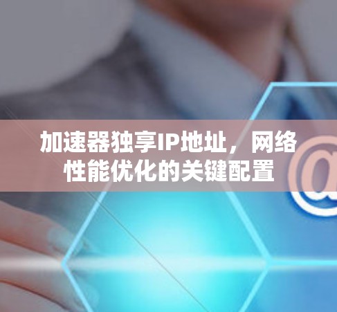 加速器独享IP地址，网络性能优化的关键配置