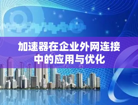 加速器在企业外网连接中的应用与优化