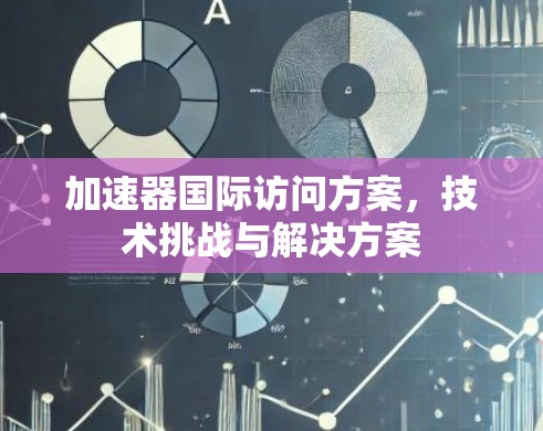 加速器国际访问方案,技术挑战与解决方案 加速器国际访问方案,技术挑战与解决方案
