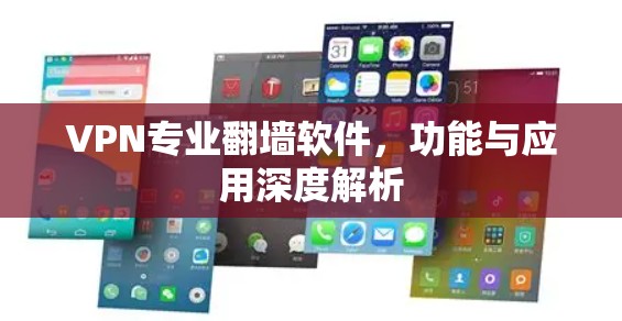VPN专业翻墙软件，功能与应用深度解析