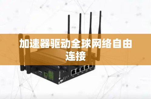 加速器驱动全球网络自由连接