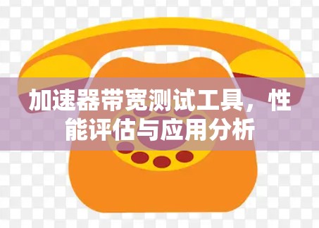 加速器带宽测试工具，性能评估与应用分析