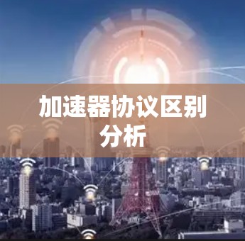 加速器协议区别分析