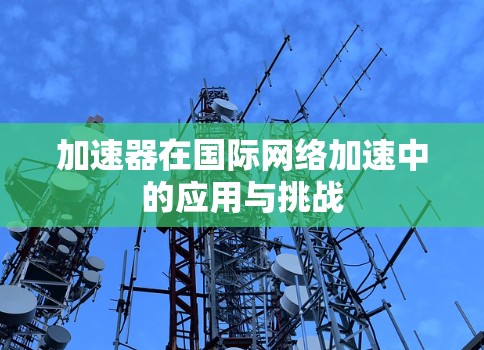 加速器在国际网络加速中的应用与挑战