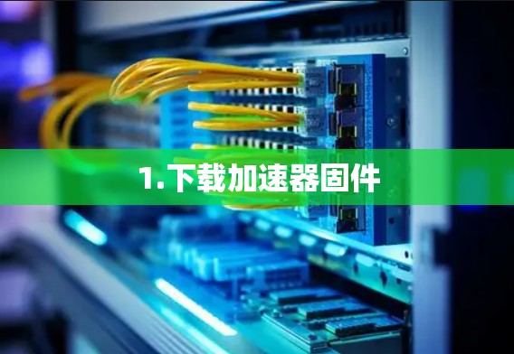 1.下载加速器固件
