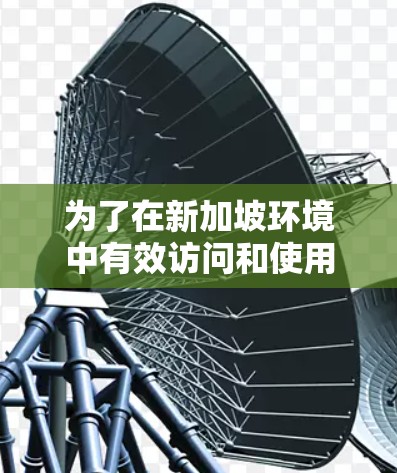 为了在新加坡环境中有效访问和使用加速器服务，可以采用以下几种方法