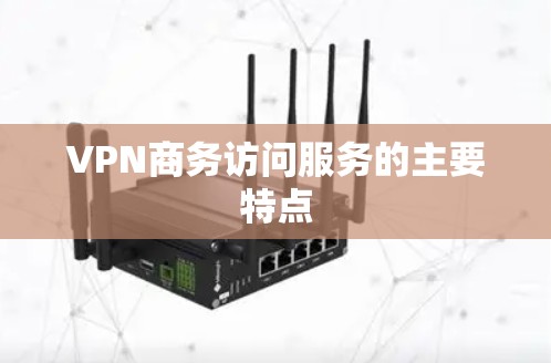 VPN商务访问服务的主要特点 VPN商务访问服务的主要特点