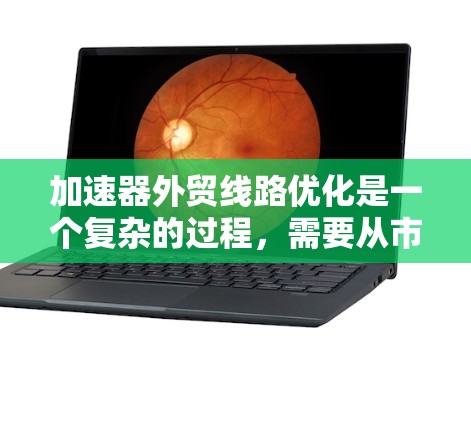 加速器外贸线路优化是一个复杂的过程，需要从市场调研、渠道选择、品牌定位、供应链管理等多个方面入手。以下是一些关键点，帮助你优化加速器的外贸线路