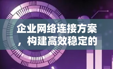 企业网络连接方案，构建高效稳定的企业网络环境
