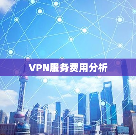 VPN服务费用分析
