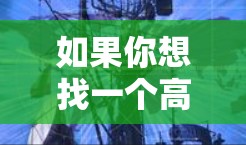如果你想找一个高质量的VPN服务,以下是一些真实测评和推荐,帮助你选择最适合的VPN 如果你想找一个高质量的VPN服务,以下是一些真实测评和推荐,帮助你选择最适合的VPN