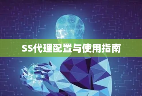 SS代理配置与使用指南