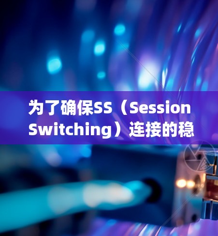 为了确保SS（Session Switching）连接的稳定性，以下是一个系统化的测试计划和方法