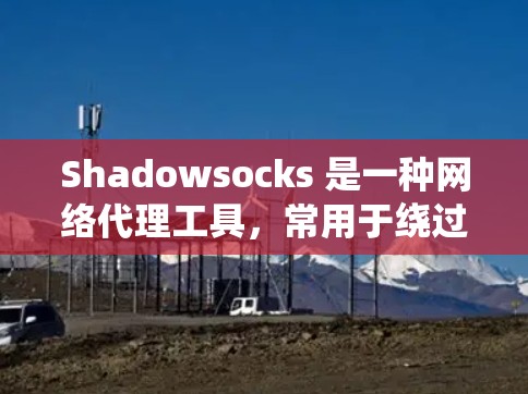 Shadowsocks 是一种网络代理工具，常用于绕过网络限制，用户可能需要一些工具来帮助管理 Shadowsocks 芯片。以下是一些可能有用的资源和工具