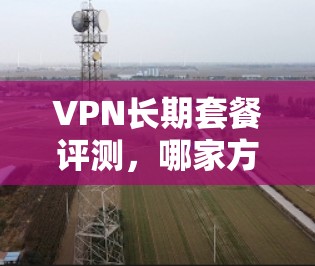 VPN长期套餐评测，哪家方案最值？