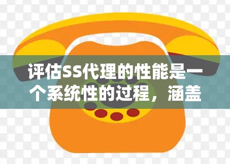 评估SS代理的性能是一个系统性的过程，涵盖多个关键方面。以下是对各个方面的详细分析和建议